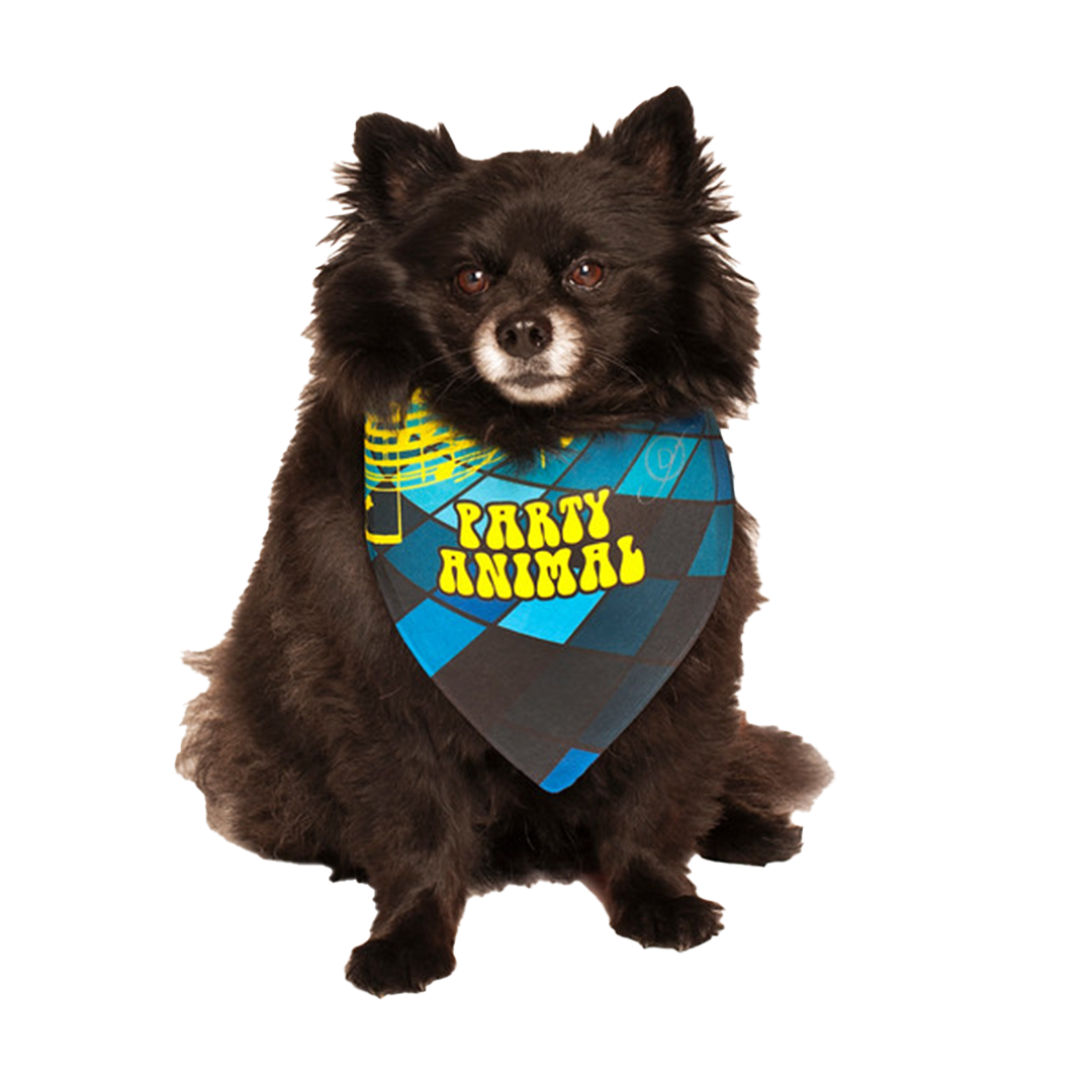 Party Animal Birthday Bandana For Dogs By Dog Fashion Living