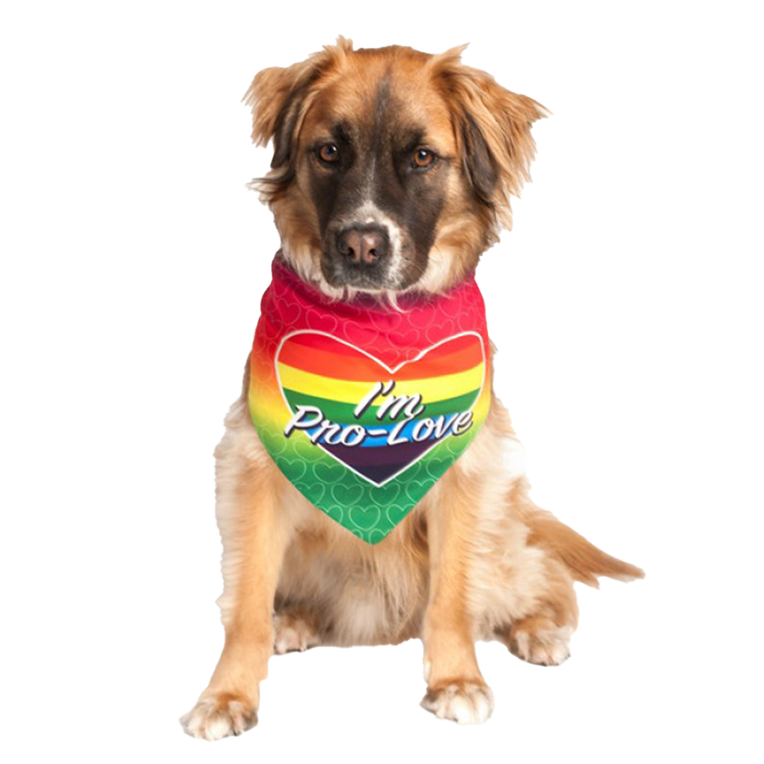 Dog Fashion Living I'm Pro LGBTQ Dog Bandana