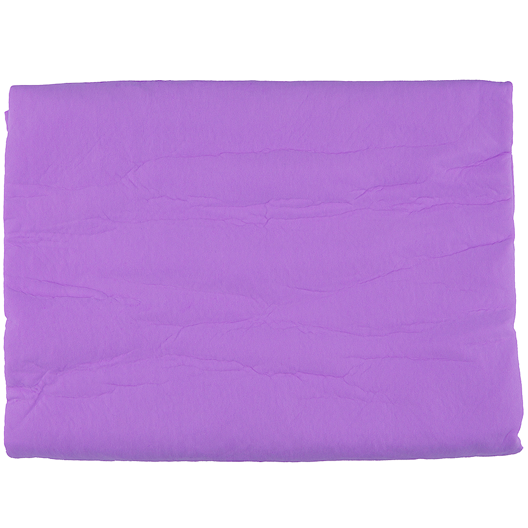 Dog Fashion Spa Purple Absorption Towel