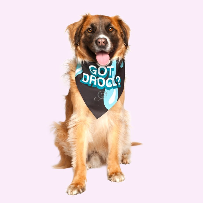 “Got Drool?” Bandana