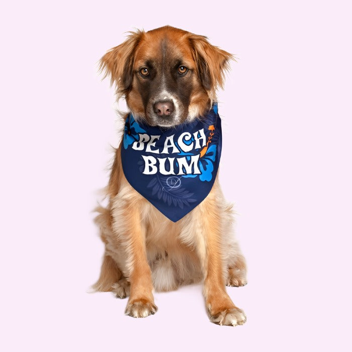 Bandana per cani da spiaggia