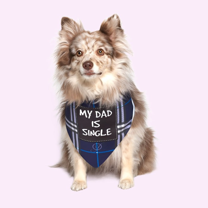 mio padre è single