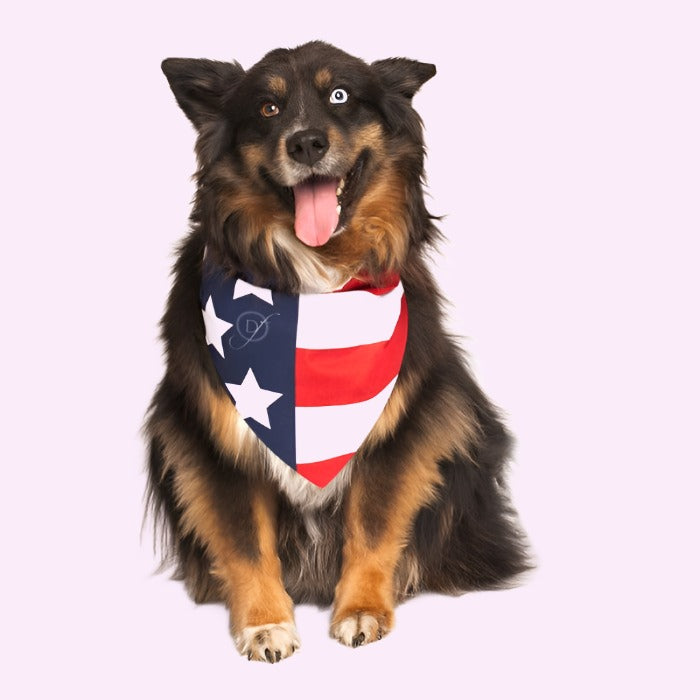Pañuelo de bandera americana para perro patriótico