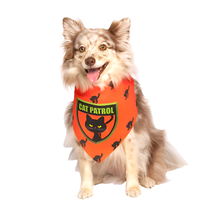 Cat Patrol Bandana