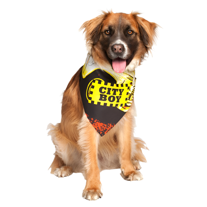 City Boy Bandana