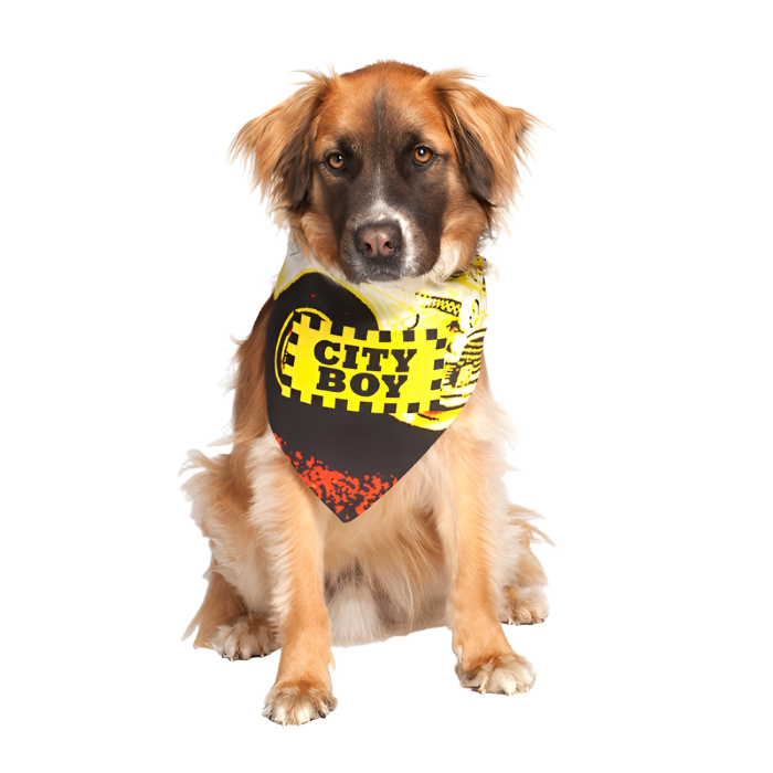 City Boy Bandana