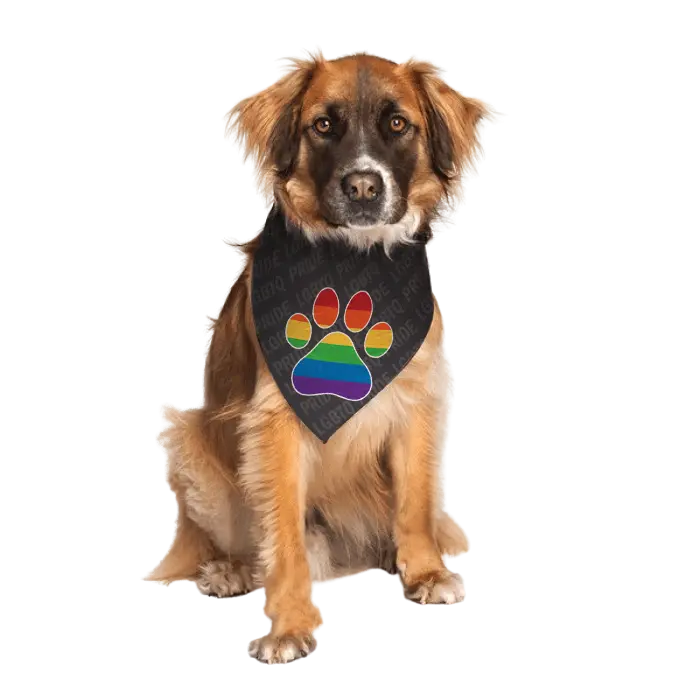 Gay Flag Paw Bandana by Dog Fashion Living