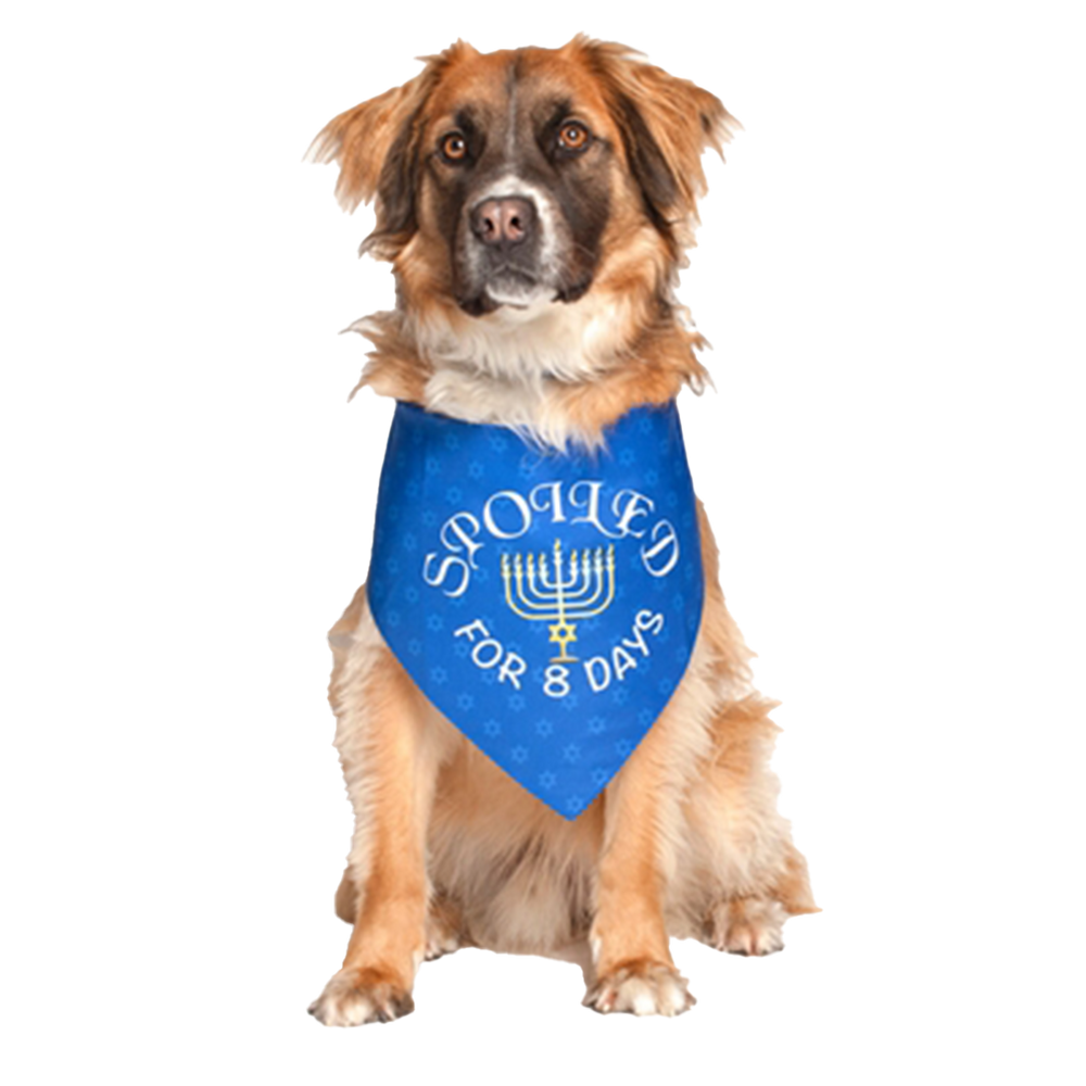 Hanukkah Holiday Dog Bandana by Dog Fashion Living