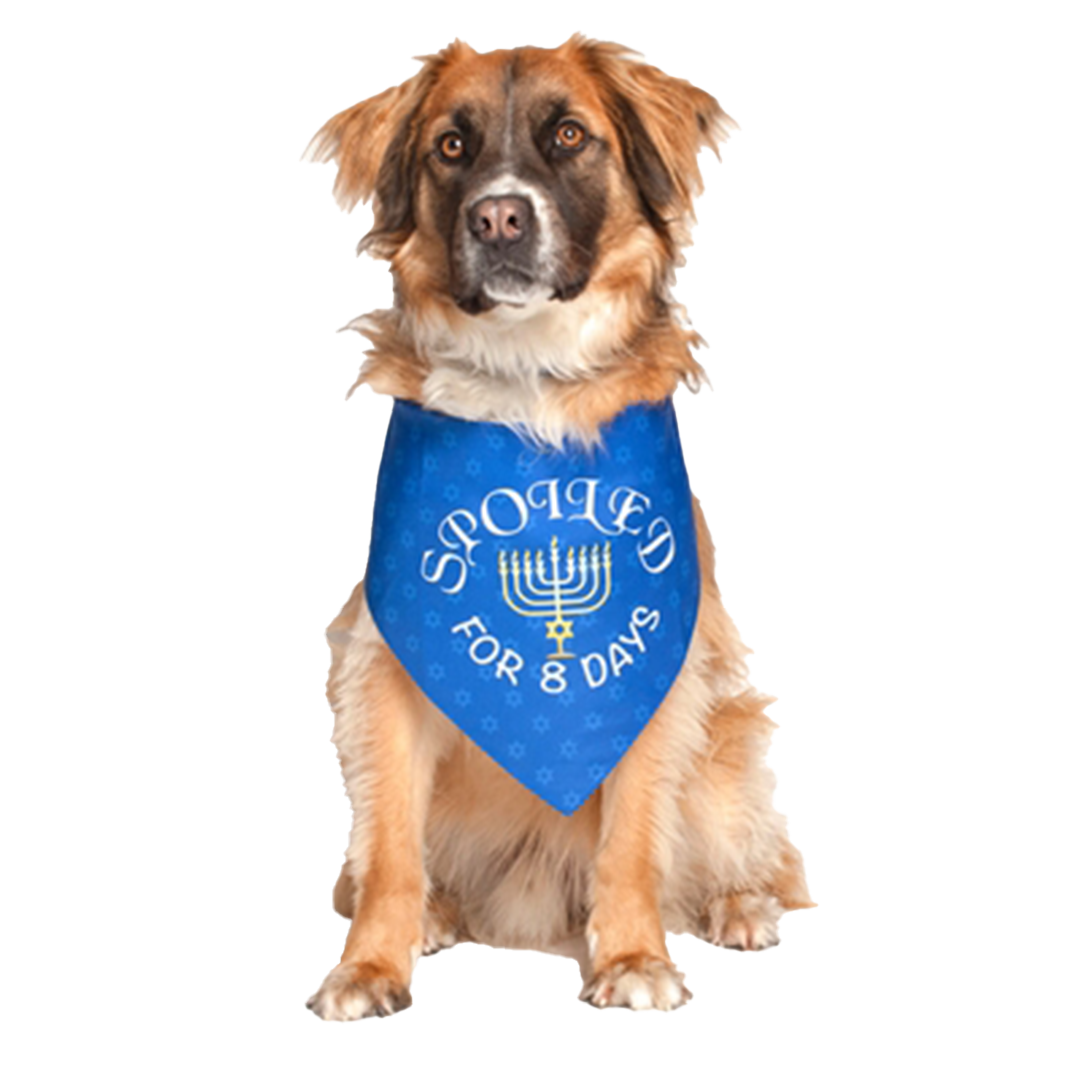 Hanukkah Holiday Dog Bandana by Dog Fashion Living