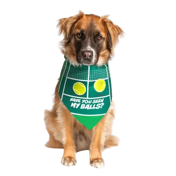 Have You Seen My Balls by Dog Fashion Living