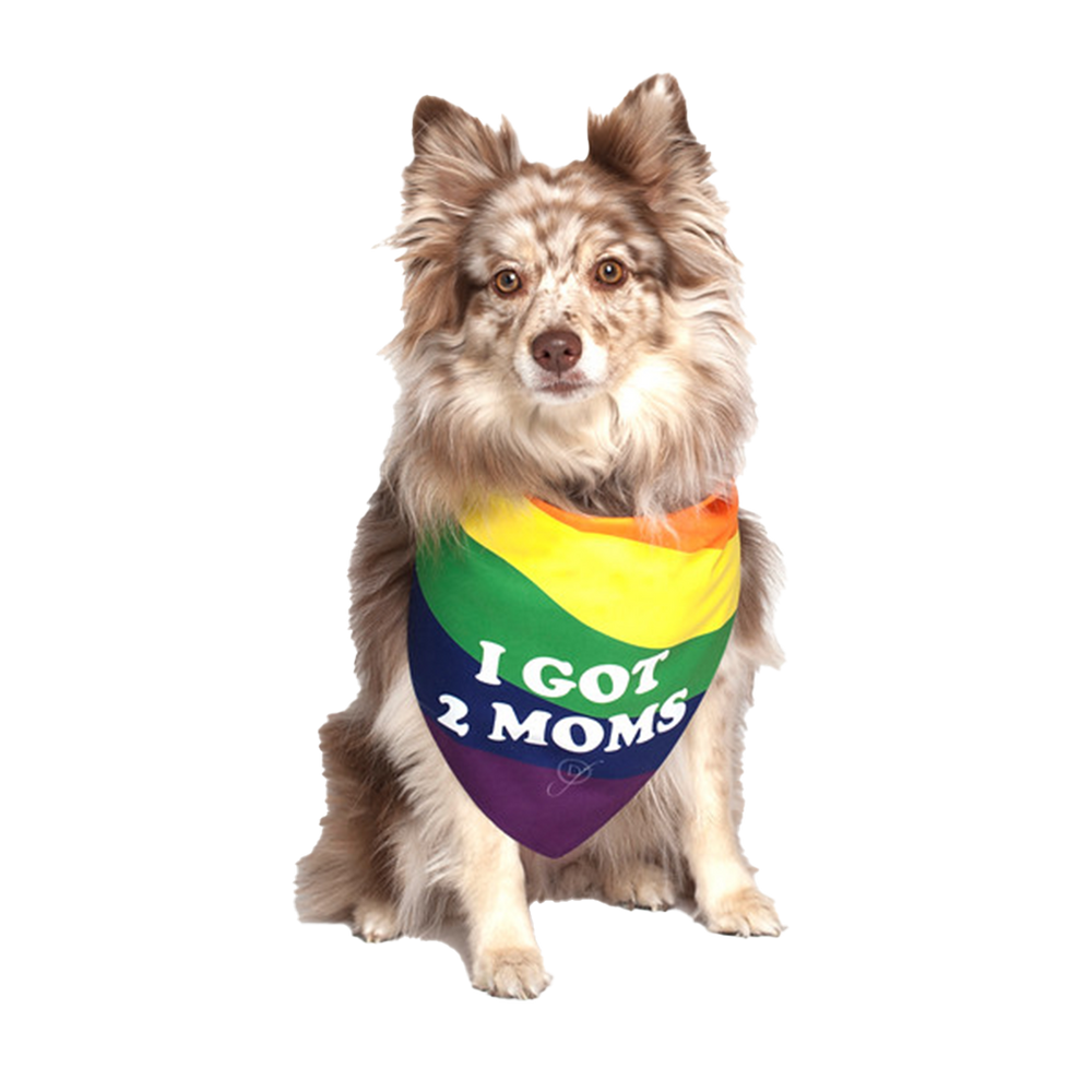 I Got 2 Moms Gay Parade Dog Bandana by Dog Fashion Living