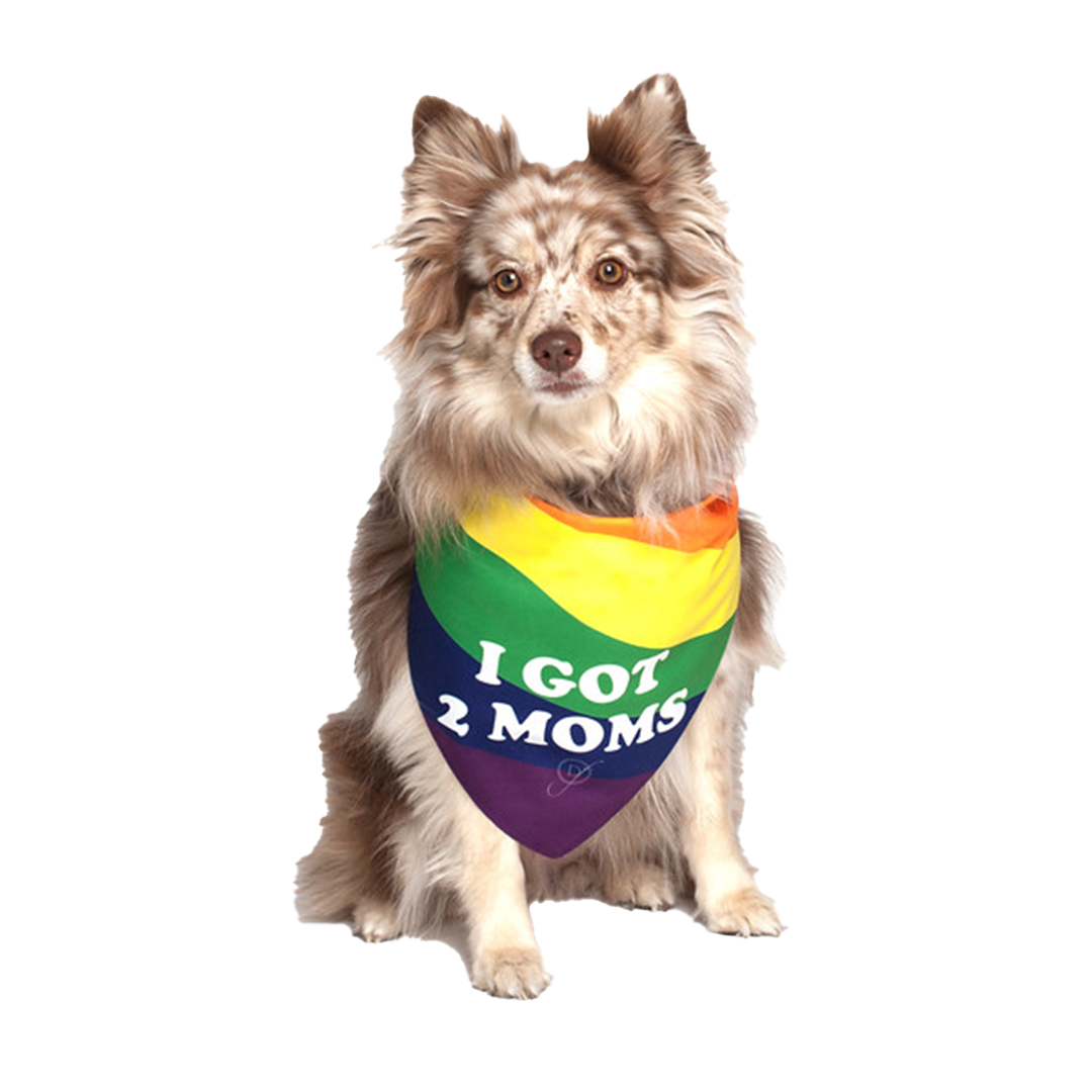 I Got 2 Moms Gay Parade Dog Bandana by Dog Fashion Living