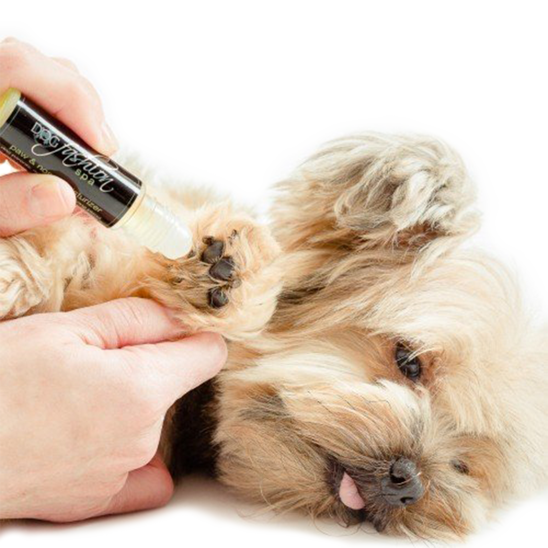 Best Dog Paw + Nose Moisturizer from Dog Fashion Spa