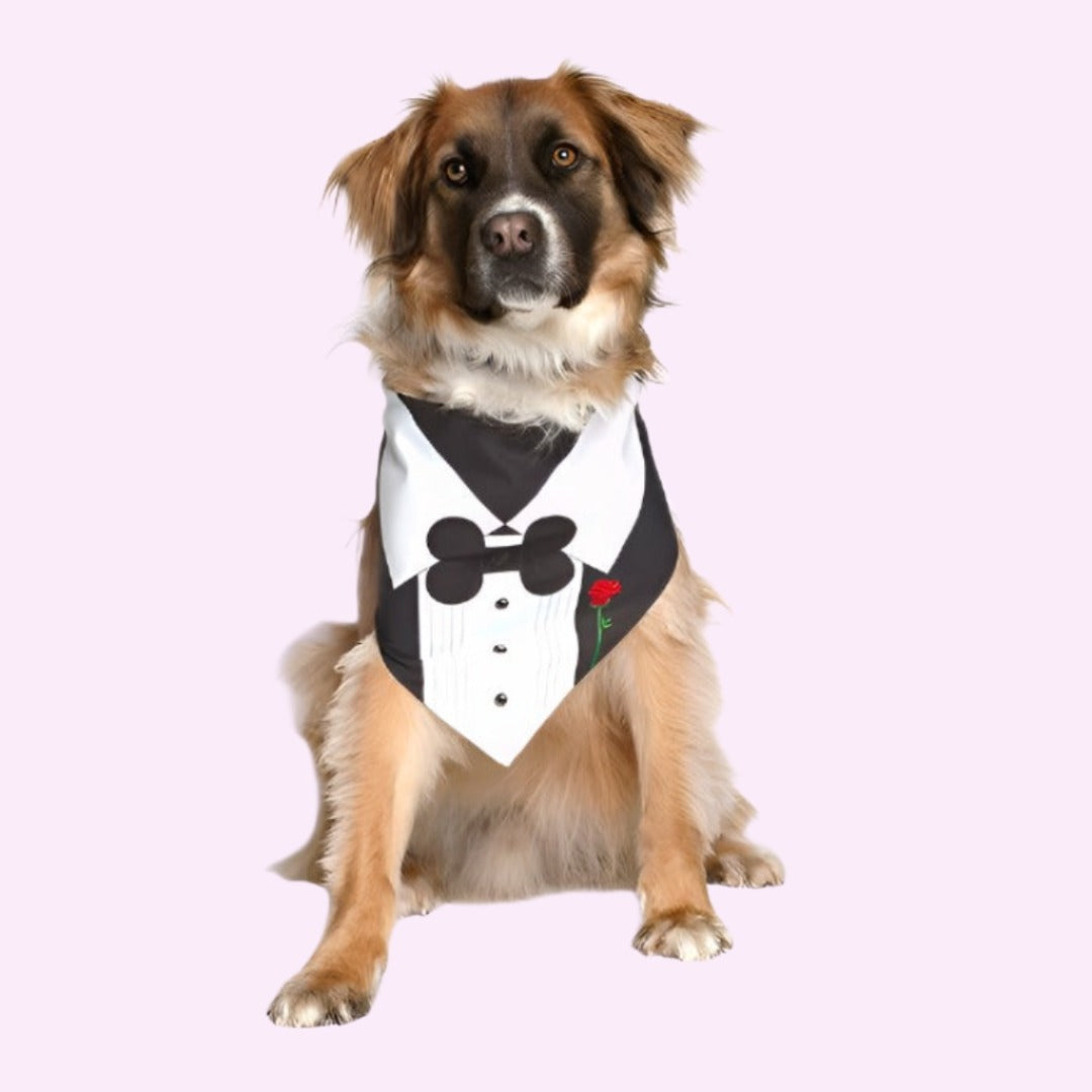 Tuxedo With Rose Wedding Bandana