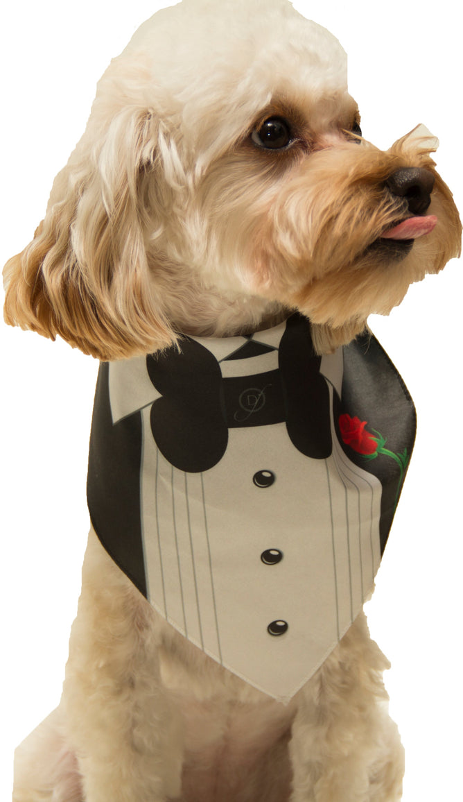 Tuxedo With Rose Wedding Bandana