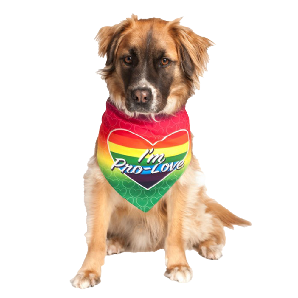 Dog Fashion Living I'm Pro LGBTQ Dog Bandana