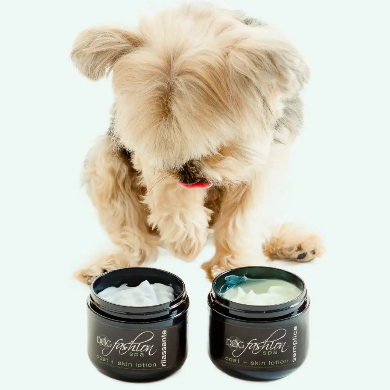 Dog Fashion Spa Best Leave-in Lotion from Dog Fashion Spa