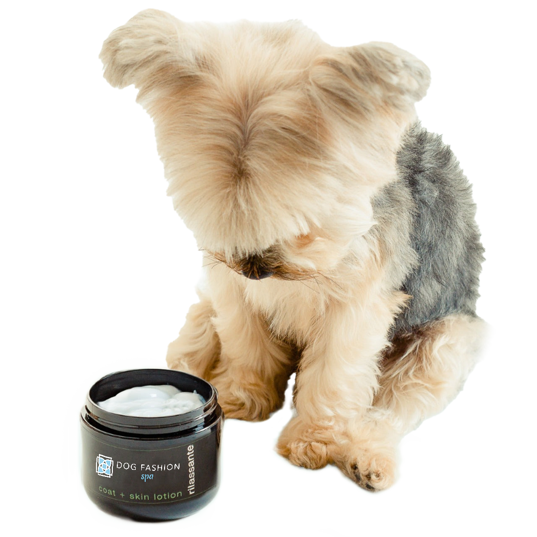 Best Leave-in Relissante Lotion from Dog Fashion Spa