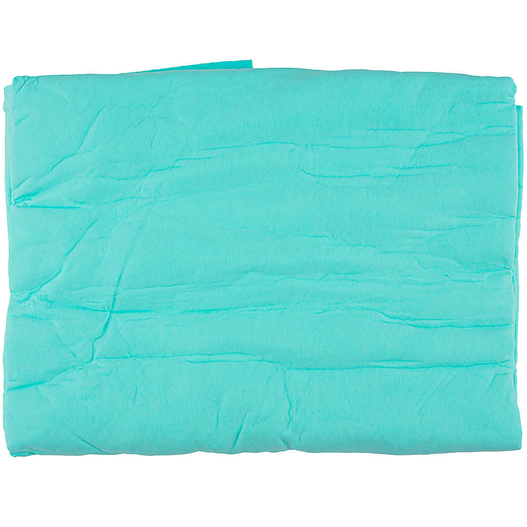 Absorption Towel Ligh Blue by Dog Fashion Spa
