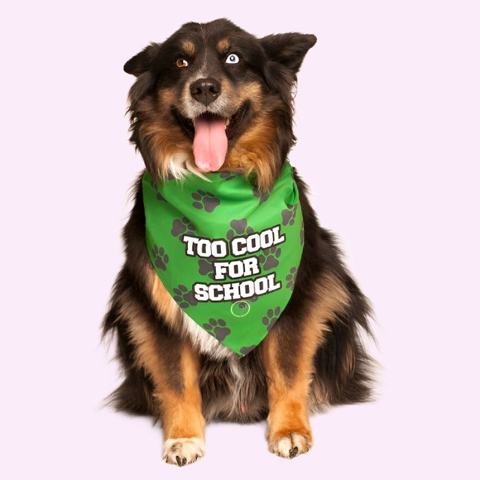 troppo bello per la bandana verde per cani della scuola