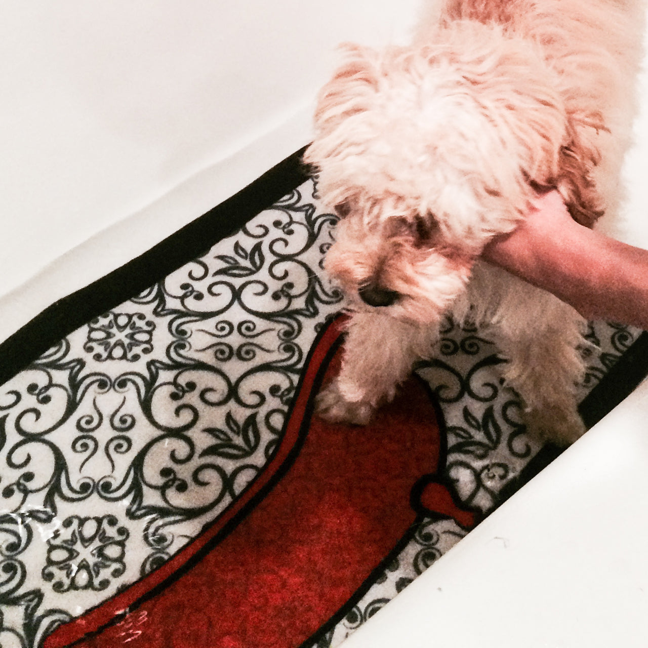Dog Fashion Spa Tub Bathing Mat and Spa
